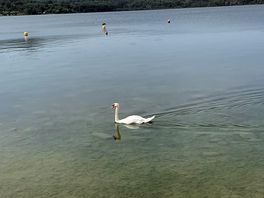 Lago bellissimo