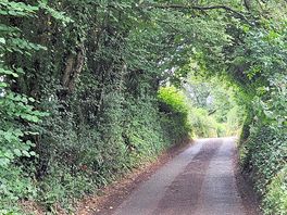 Beautiful lane