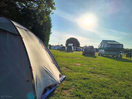 Sunny morning