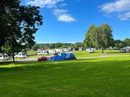 View from tent