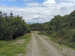 The hike up towards the lake