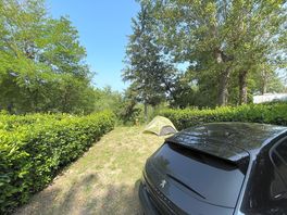 262 site