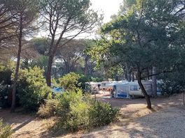 Camping