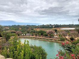Lago