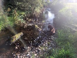 Handy cooling off point.