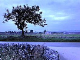 Evening