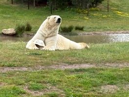 Wildlife park