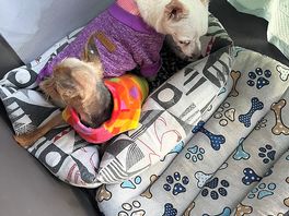 Holly and titch