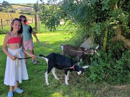 Mabel & maud the goats
