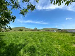View of the site from the beck.