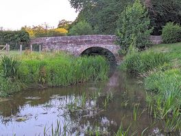 Bridge