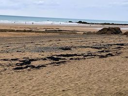 Widemouth beach