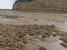 Local beach.