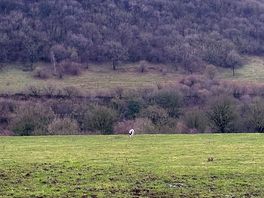 Views from the campsite