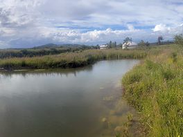 Views
