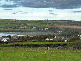 Newport bay