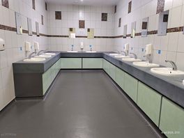 Ladies sinks area