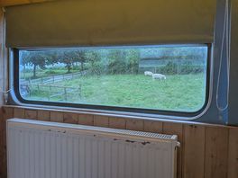 Room with a view