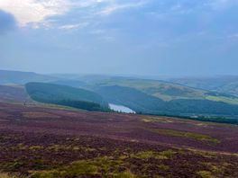 Moors near by