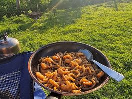 King prawn and udon noodles.