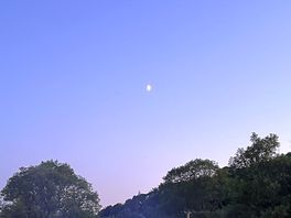 Lovely view