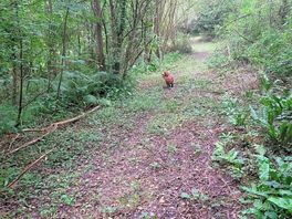 And lovely walks