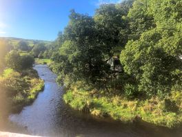 View from the bridge