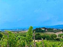Storm brewing!