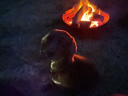 Dog approves