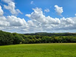 The field next to the camping
