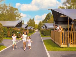Safari tents