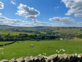 Beautiful views