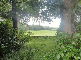 Scenery by campfire area