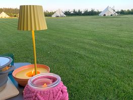 Abend auf der wiese lillyroo‘s