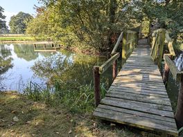 Bridge access