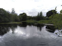 Lake view