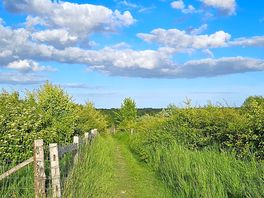 Walks
