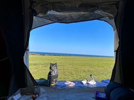 View from our tent