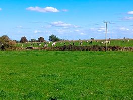 General view of site