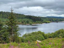 Alwen res