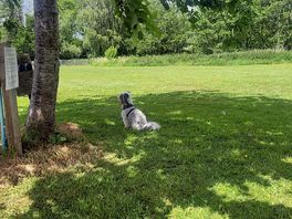 Peaceful