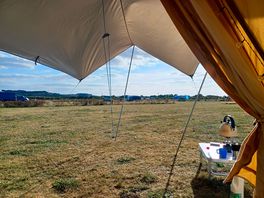 Across the site