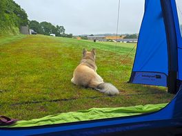 On alert