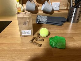 Goodie bag contents
