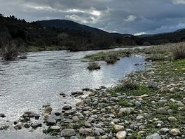 Ruta