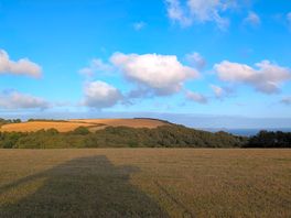 The view over the fence from where we camped