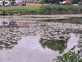 Der blick vom see auf das schloß
