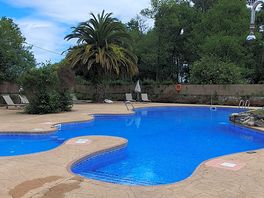 Pool area