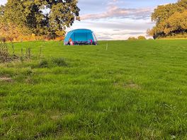 Camping field