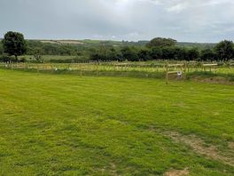 Electric grass pitches